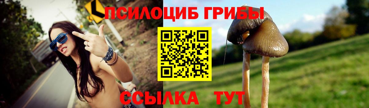 Каменск-Уральский  Галлюциногенные грибы Magic Shrooms  Вход с VPN  Псилоцибиновые грибы MAGIC MUSHROOMS 
